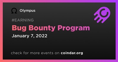 Bug Bounty Program