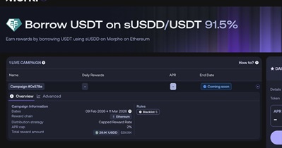 USDD Launches Incentive Campaign for sUSDD/USDT Market on Morpho