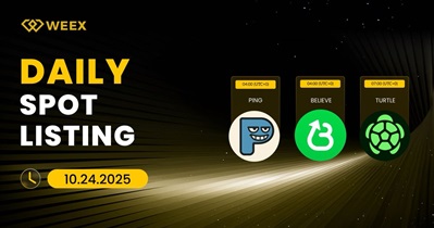 Turtle to Be Listed on WEEX
